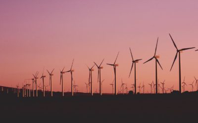 ÉNERGIE : LE COVID-19 CATALYSERA-T-IL LA TRANSITION ZÉRO-CARBONE ?