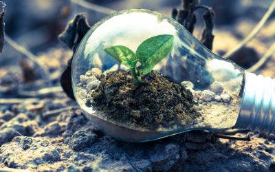 6 CHIFFRES POUR COMPRENDRE LA TRANSITION ÉNERGÉTIQUE DES FRANÇAIS