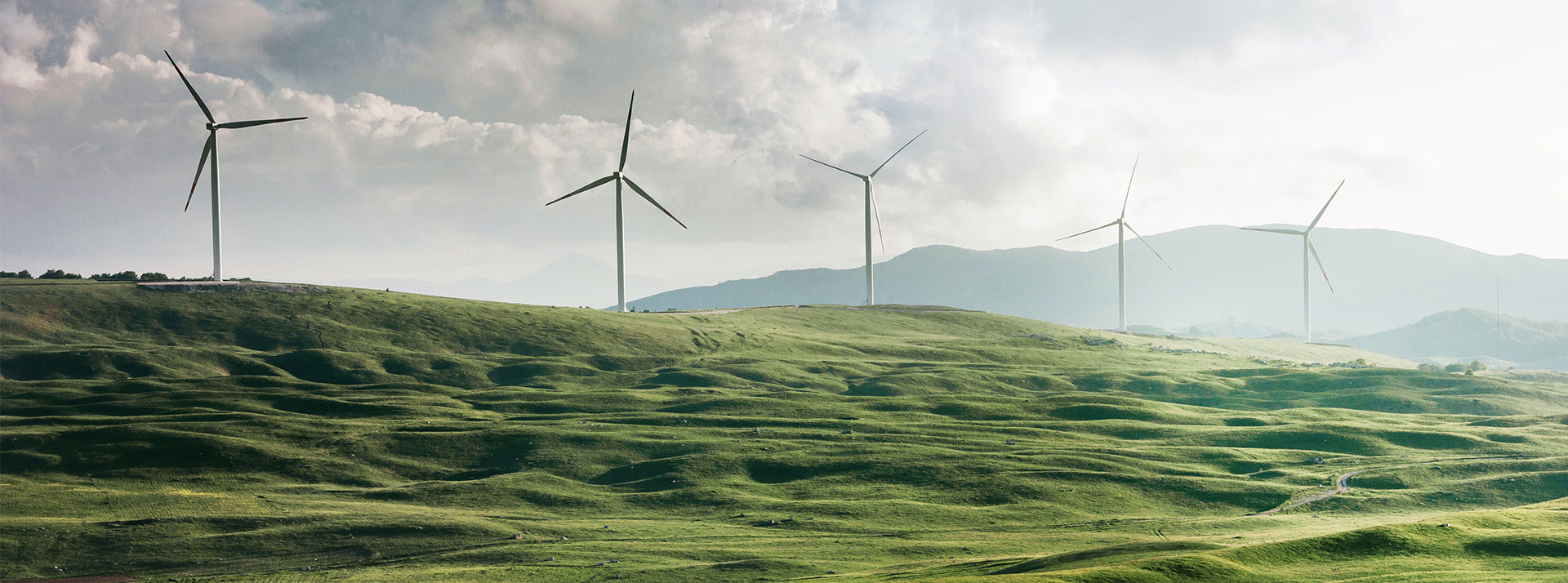Des éoliennes en haut d'une plaine verte